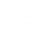 Bats Family